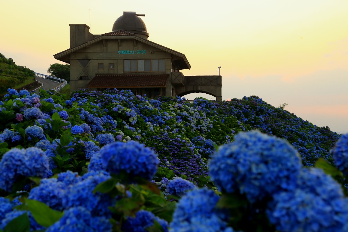 【佐那河内村】夏のおでかけ特集2026