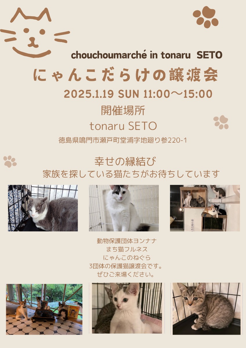 【徳島イベント情報2025】1/19｜chouchouマルシェin tonaru にゃんだらけの譲渡会