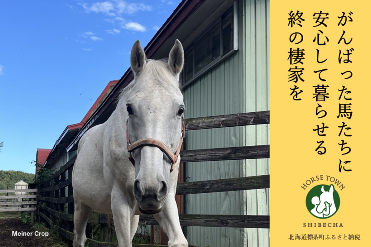 【北海道 標茶町】人にとっても馬にとっても“もう一つのふるさと”に