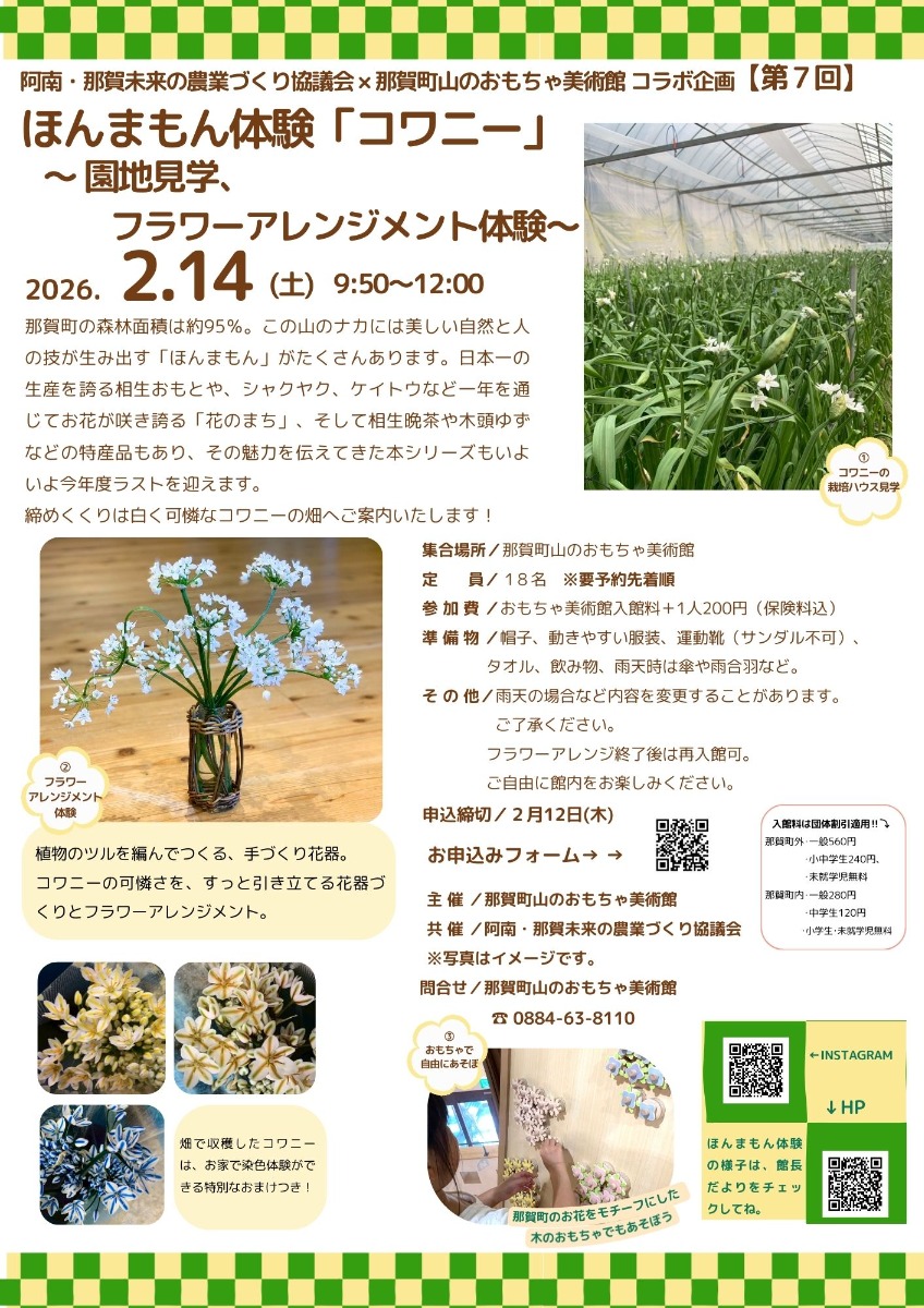 【徳島イベント情報2026】那賀町山のおもちゃ美術館【2月】