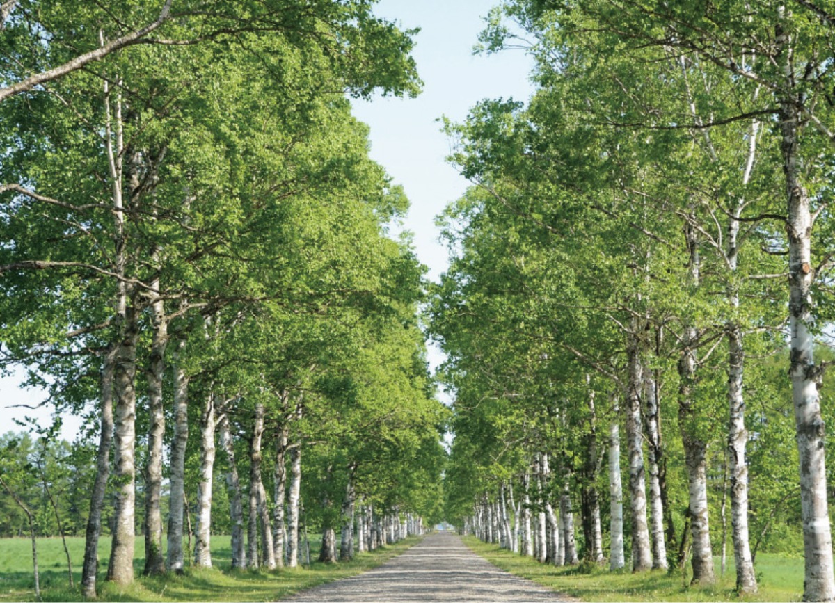 十勝川温泉を有する音更町！自然と都市の魅力があふれるまち