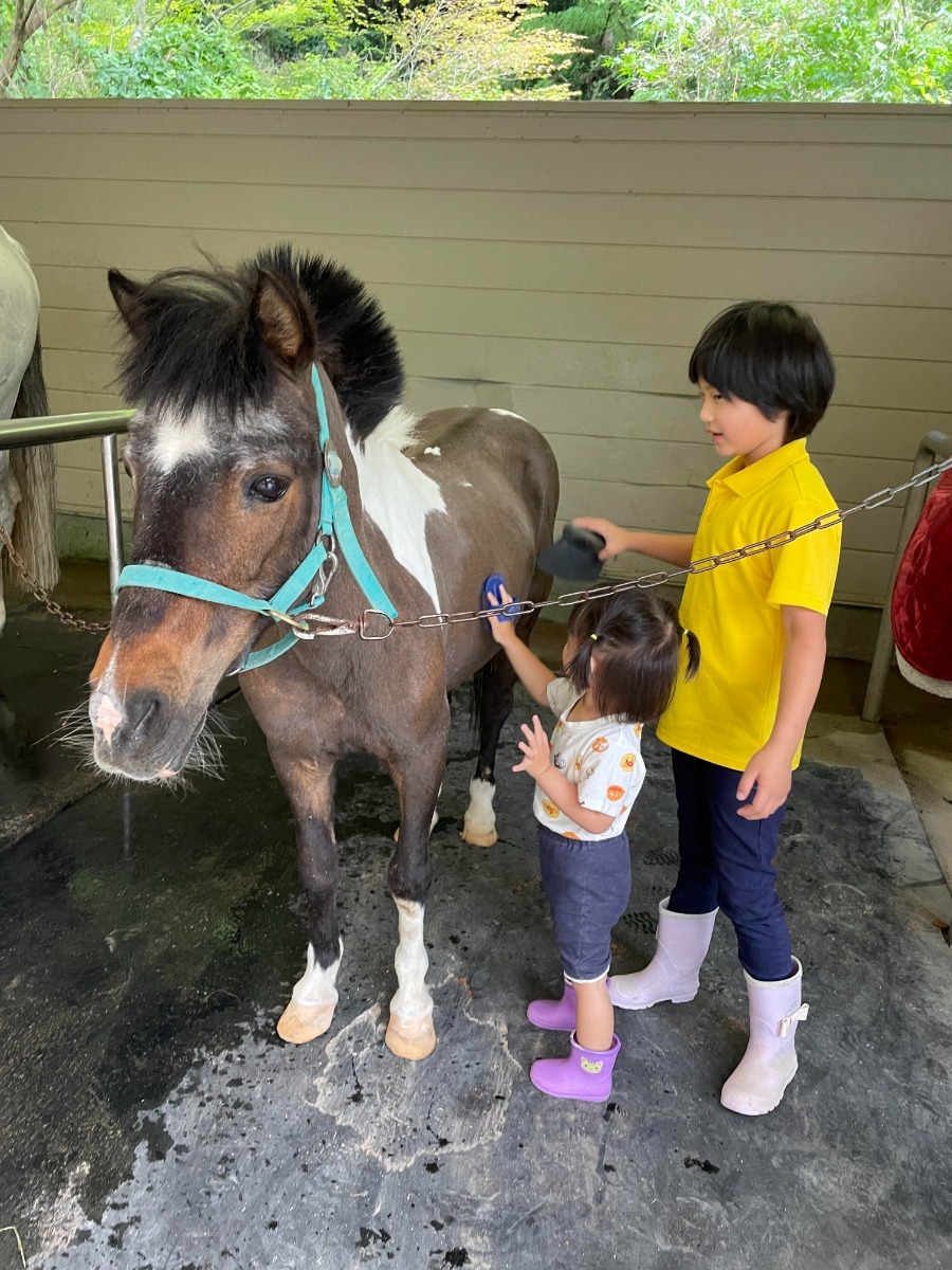 徳島の乗馬体験スポット3選｜おでかけ／体験／レジャー｜那賀町・阿波・小松島市