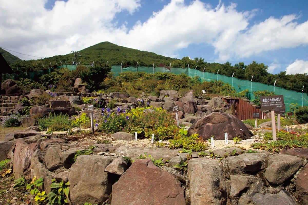 北海道ワーケーション② 士幌町で新しい働き方。「農園付き住宅」好評