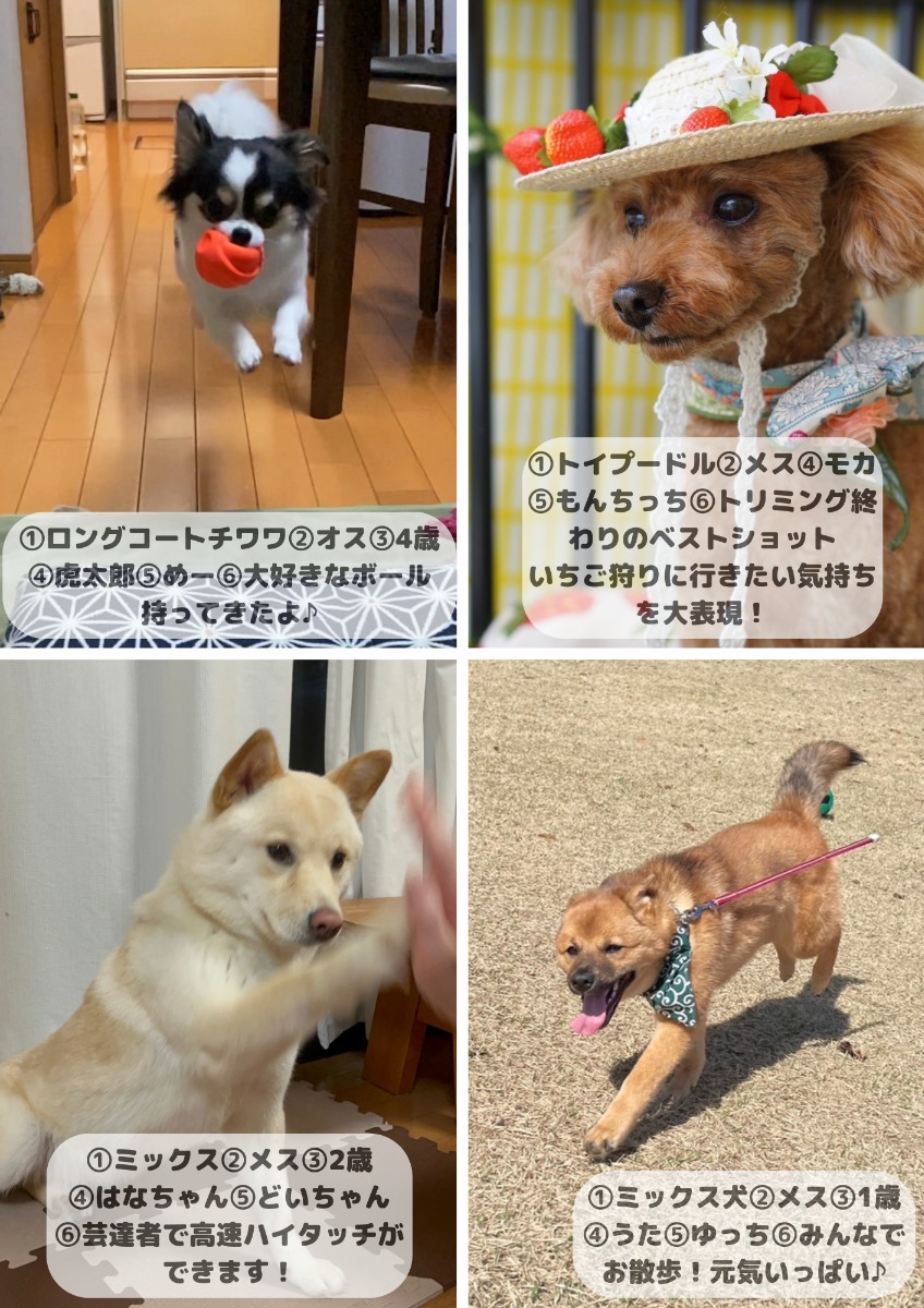 【ペットフォトコンテスト】幸せを呼ぶペットライフ　We LOVE Pet2024年8・9月版