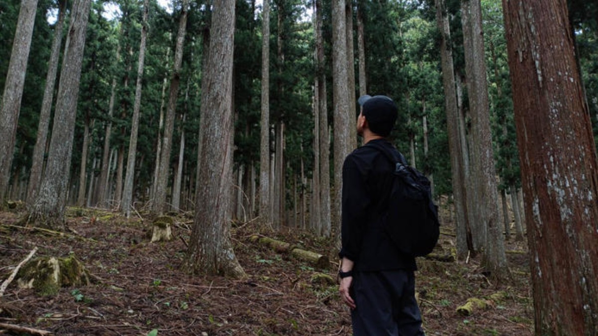 奈良県吉野町で「木のある暮らし」を再発見!思い切り木と触れ合える「よしのウッドフェス2025」開催!