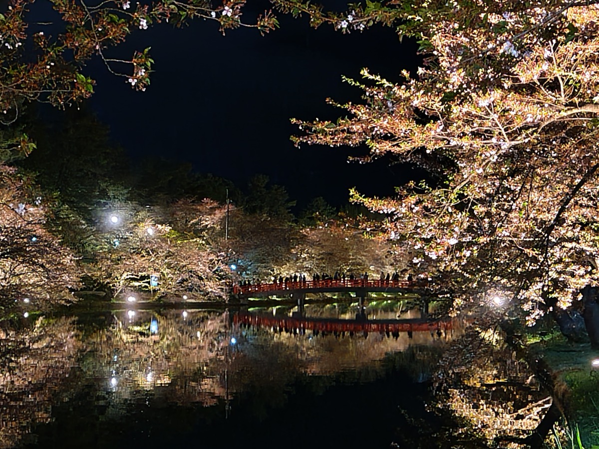 青森で「ハートの桜」に出会う。