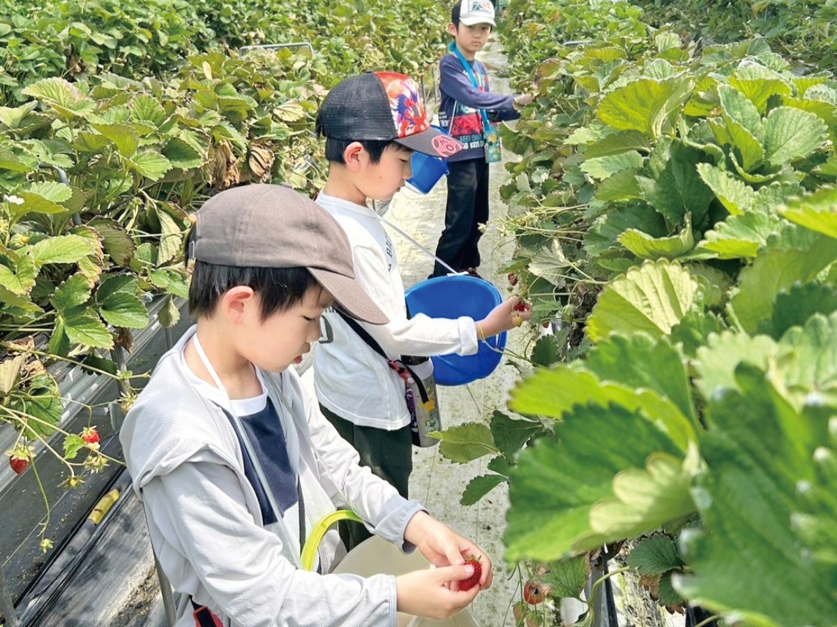 【徳島の学童】民営学童・民間学童／遊びも学びも叶える放課後の居場所　学童保育をピックアップ