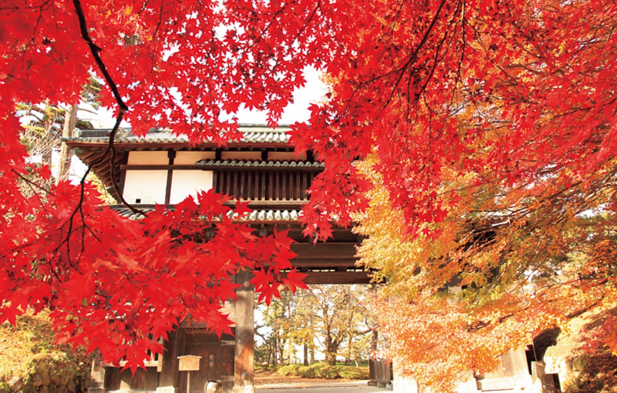南北海道から北東北へ｜弘前市　弘前藩の城下町として栄えた、 桜とりんごのまち