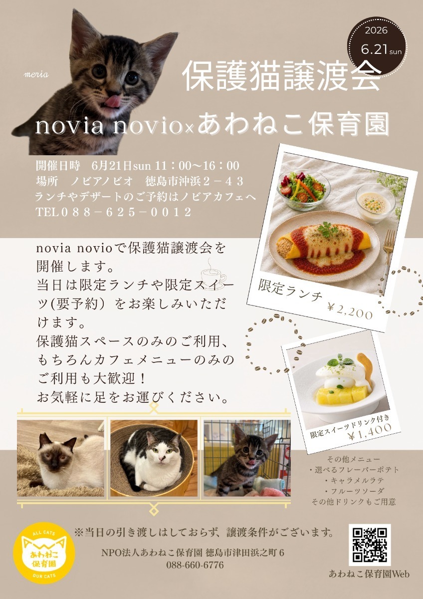 【徳島イベント情報2026】イベントピックアップ!! ～ 今週末のおでかけ情報をチェック!! ～【2026年6月20日～2026年6月26日】