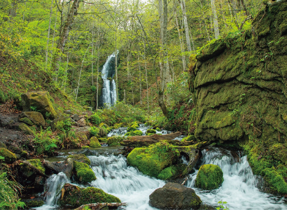 南北海道から北東北へ｜青森県　花と緑が目覚める、 春色の青森を旅する