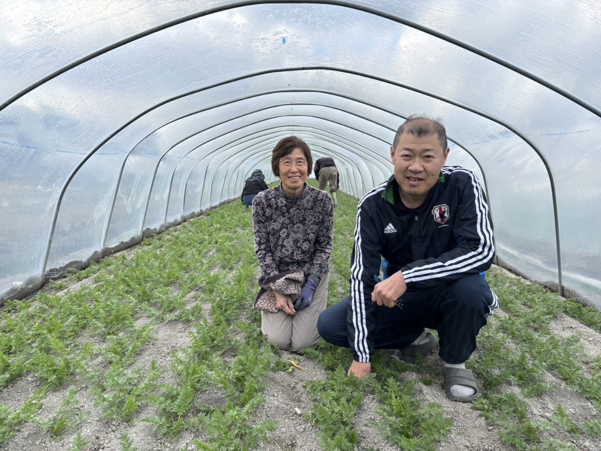 【徳島県｜短期求人｜アルバイト・パート】にんじん農家さんで働きませんか？ （板野町エリア）