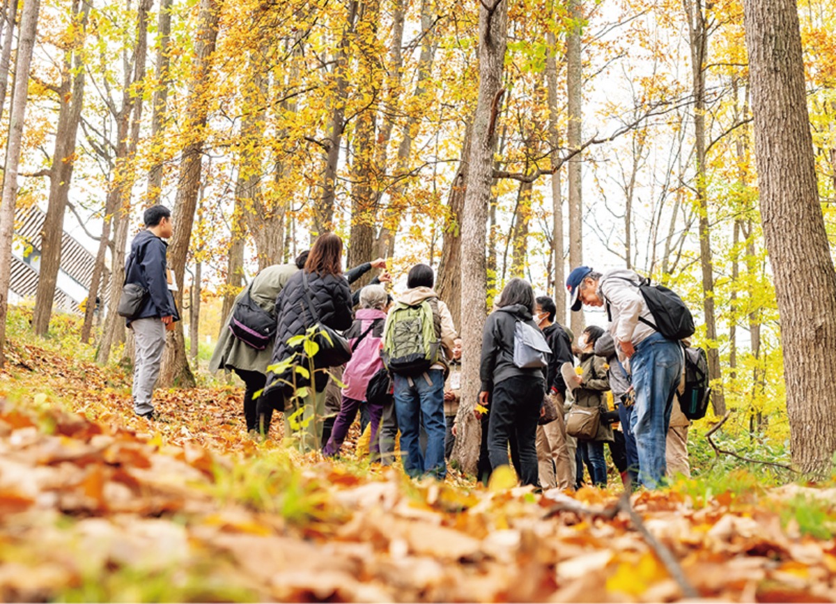 北海道移住・冬｜東川町　自然豊かで、独自のまちづくりが魅力的なまち