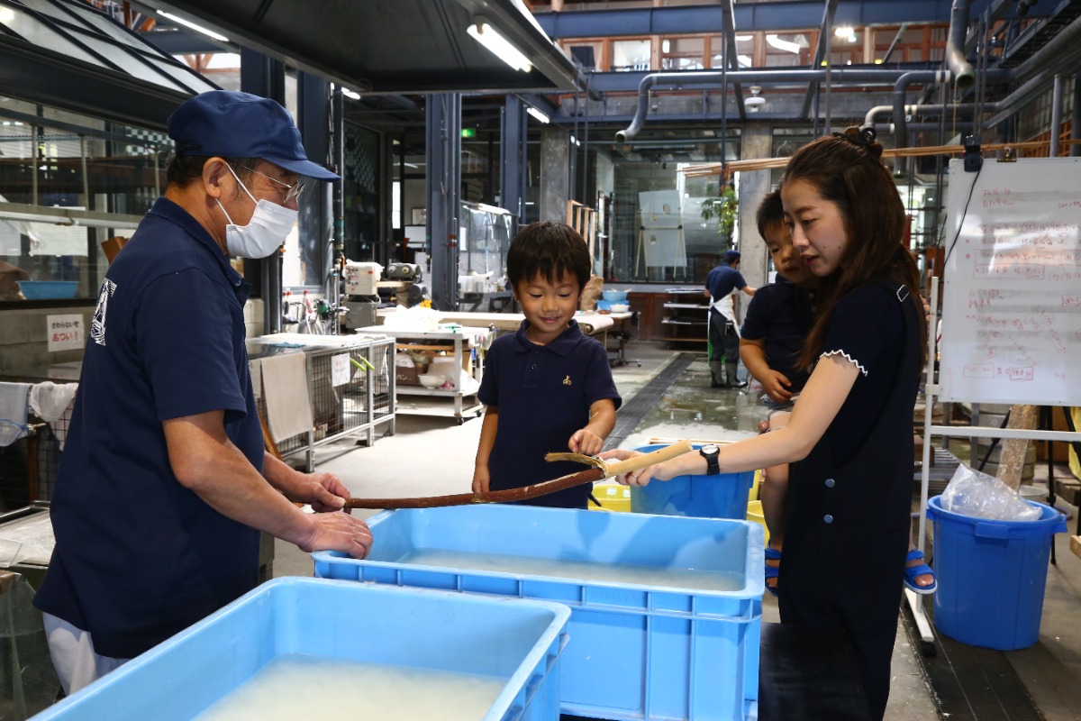 【子どもとアート】阿波和紙伝統産業会館（吉野川市）紙漉き体験でオリジナル和紙を制作しよう