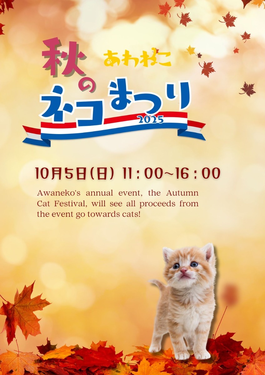 【徳島イベント情報2025】10/5|秋のあわねこネコまつり