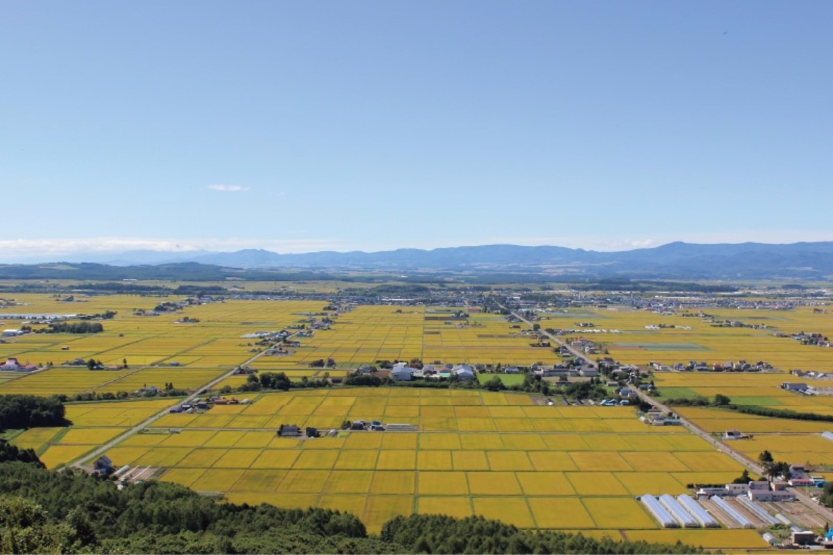 天然水で生活、自然も人も優しい東川町。移住者も多いまち！