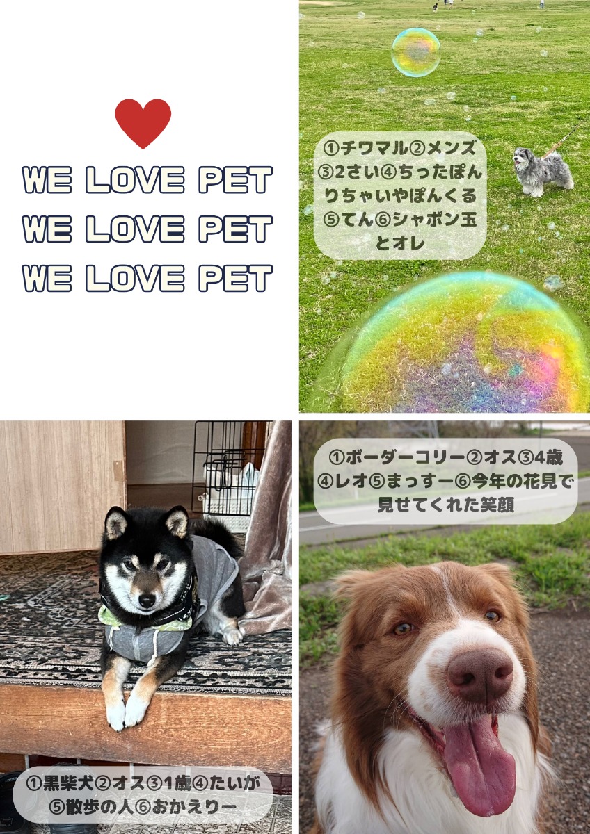 【ペットフォトコンテスト】幸せを呼ぶペットライフ　We LOVE Pet2024年5月版