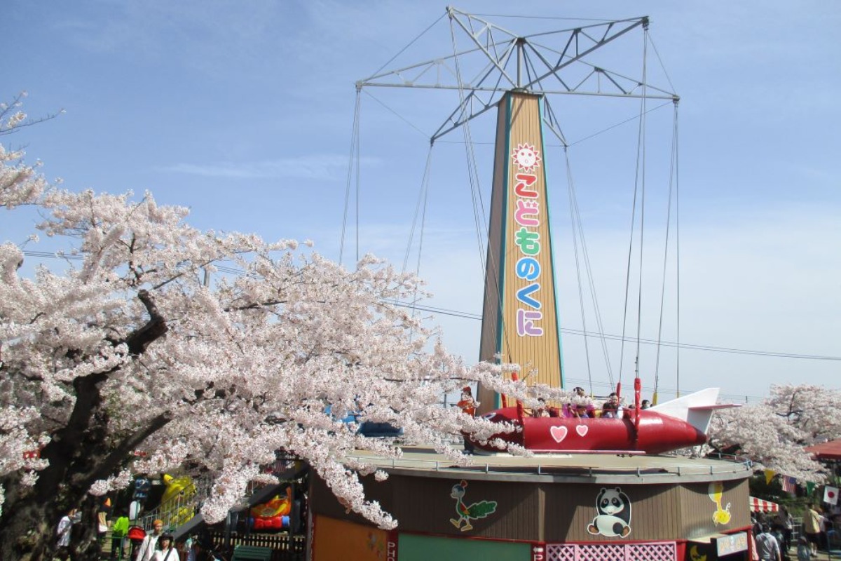 2025 北海道のお花見・桜の名所 ①|函館エリア