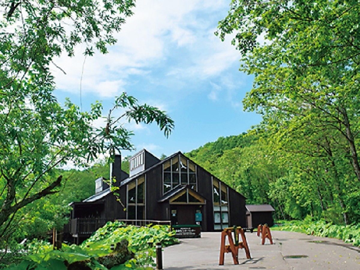 夏の大地をめぐる｜鶴居村　タンチョウが見られる、美しい村