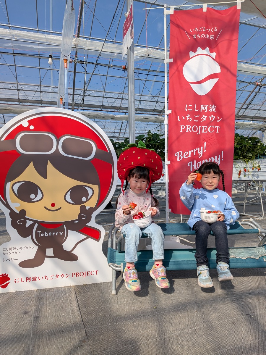 《にし阿波トベリーファーム》東みよし町を「いちごのまち」に！春のおでかけは新オープンのいちご狩りスポットへ
