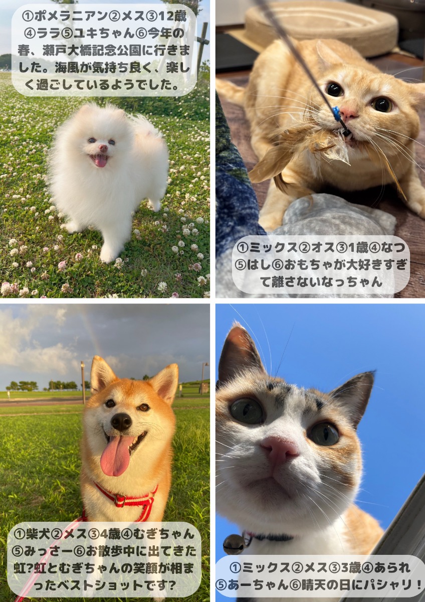 【ペットフォトコンテスト】我が家のペット／看板犬・猫 受賞作品紹介