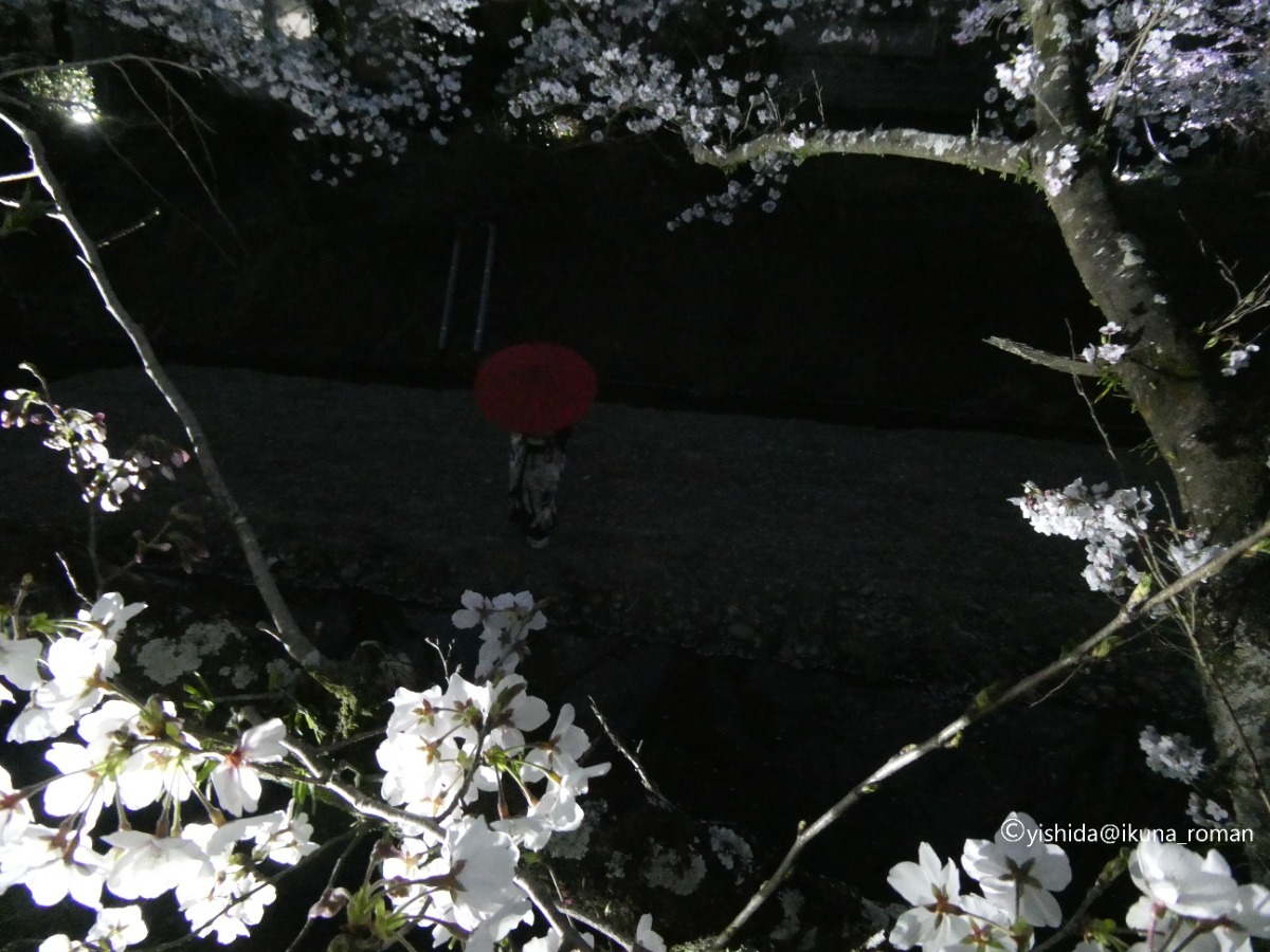 【2026年最新版】徳島のお花見スポット・桜の名所34選