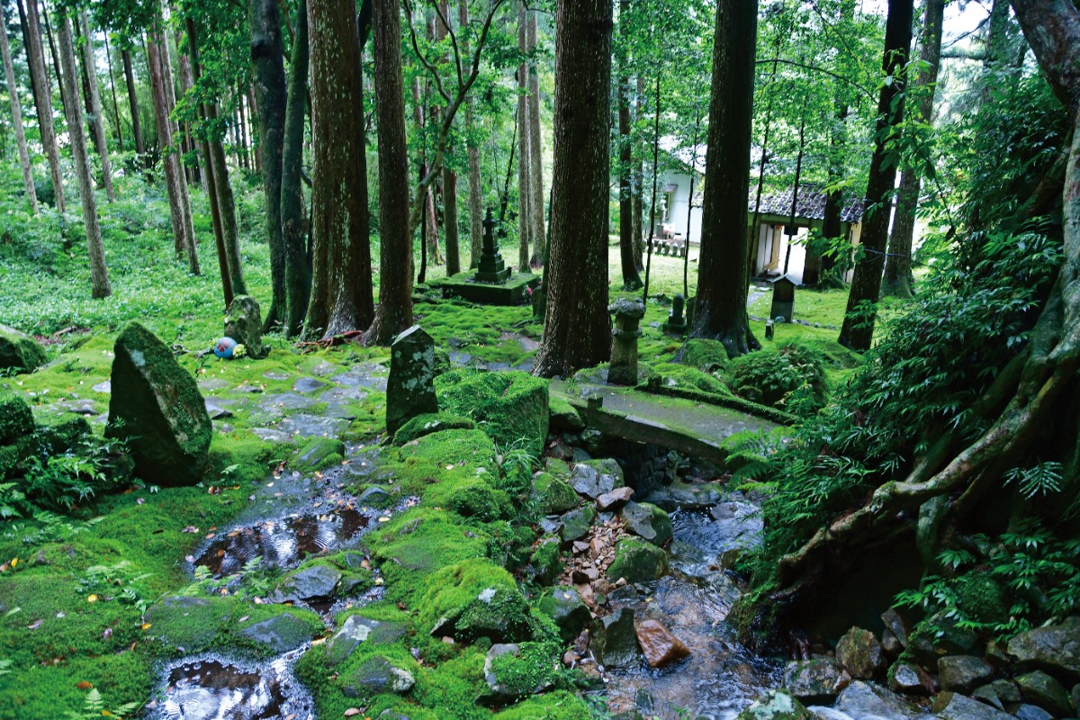 【2024阿波おどり】編集部が推す！徳島の観光スポット