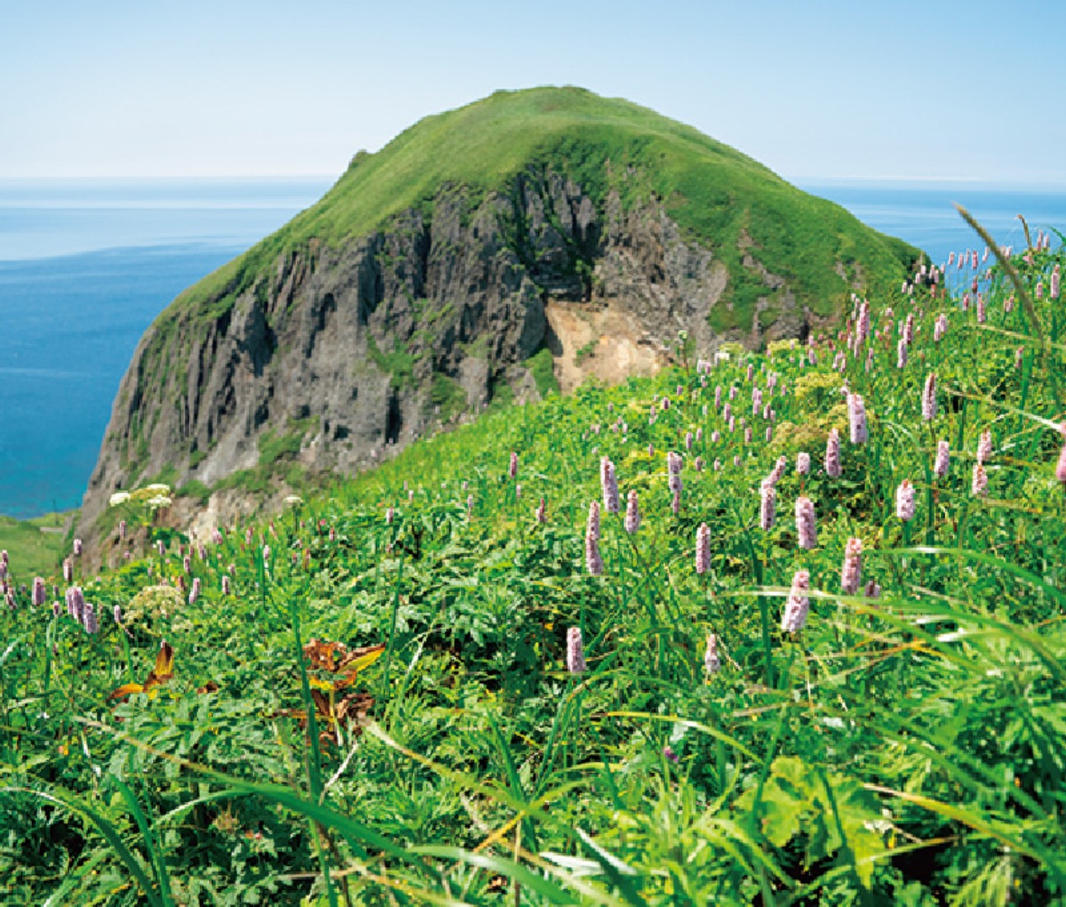 礼文島 ‟花と海の絶景”を楽しむ！ 7つのトレッキングコース