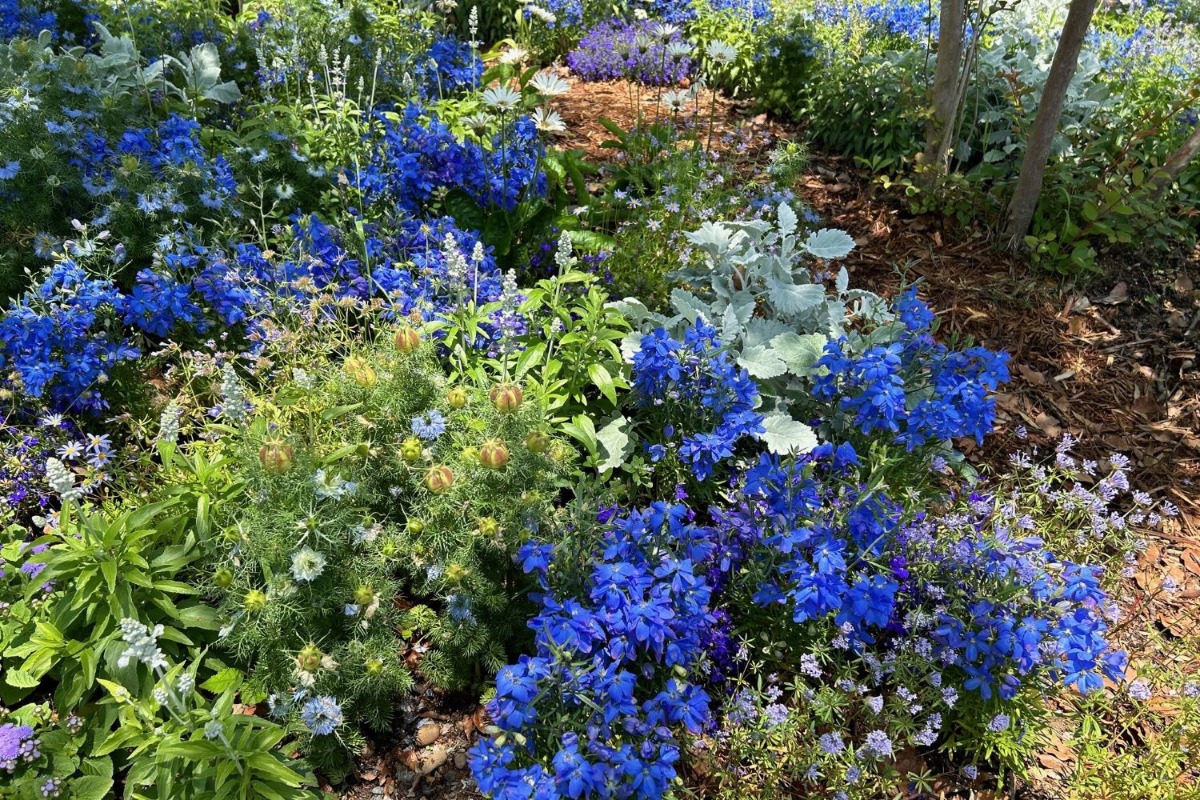 北海道の庭｜今週の花　浜名湖花博で出会ったガーデン風景