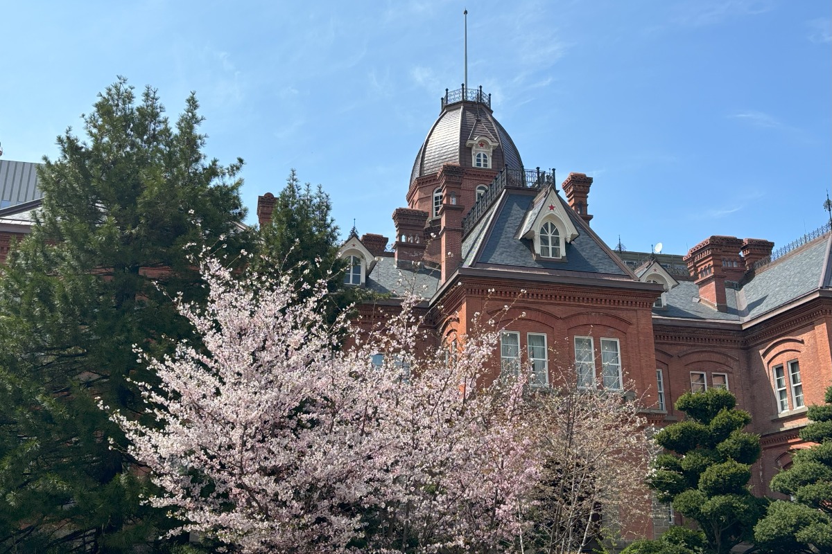 見頃の桜めぐり!札幌中心部はほぼ満開の8分咲き、4月28日情報