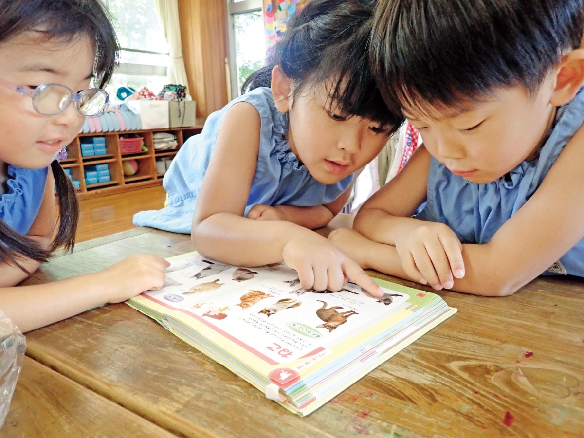 《2027年度版入園ガイド》徳島の私立幼稚園&認定こども園ピックアップ