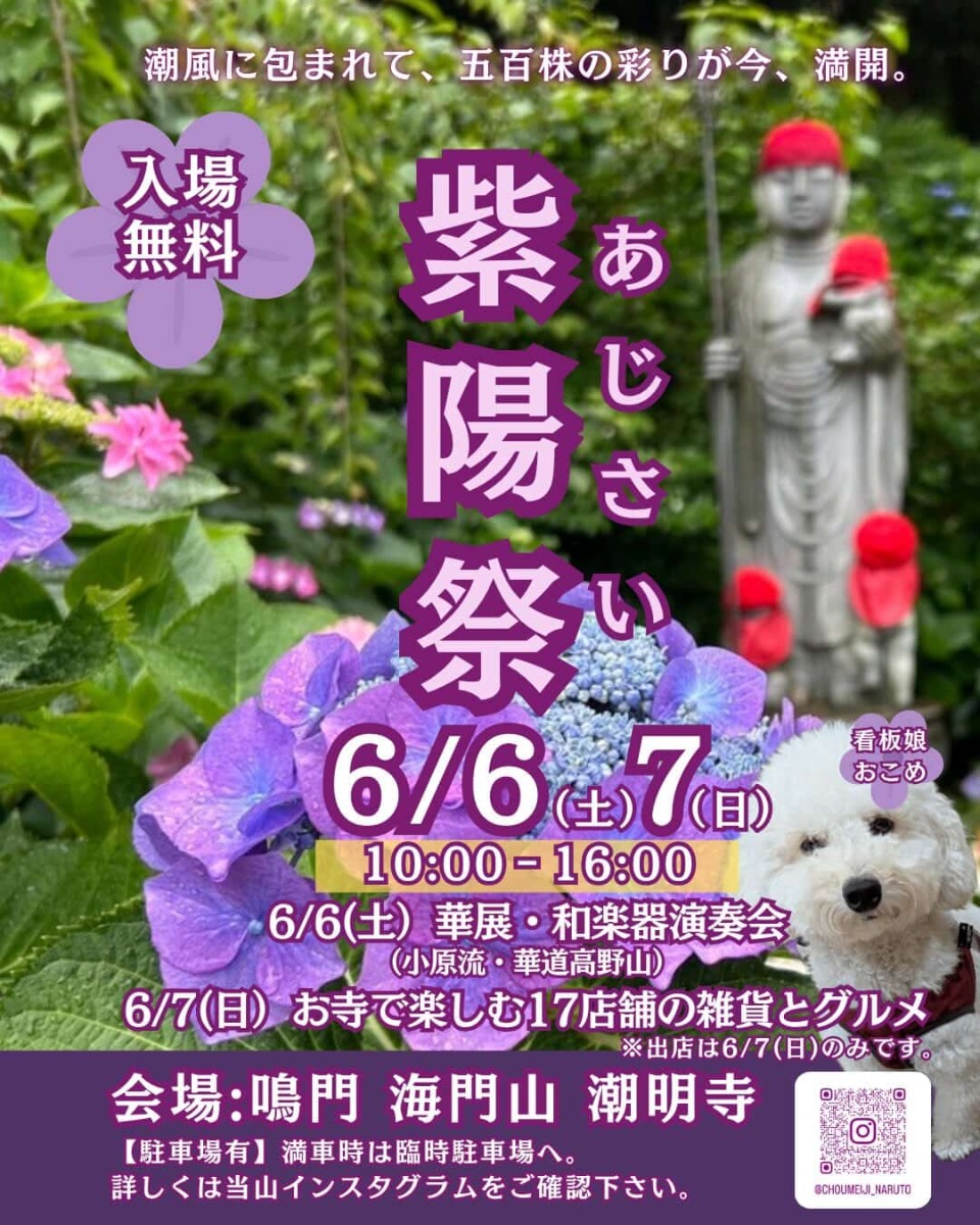 【徳島イベント情報2026】6/6～6/7｜潮明寺『紫陽祭』
