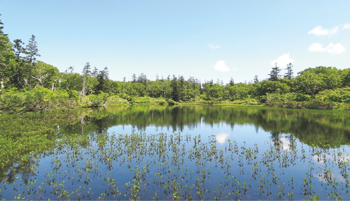 絶景と味覚の旅路、 積丹半島ブルーライン|北海道大人の旅ガイド2025