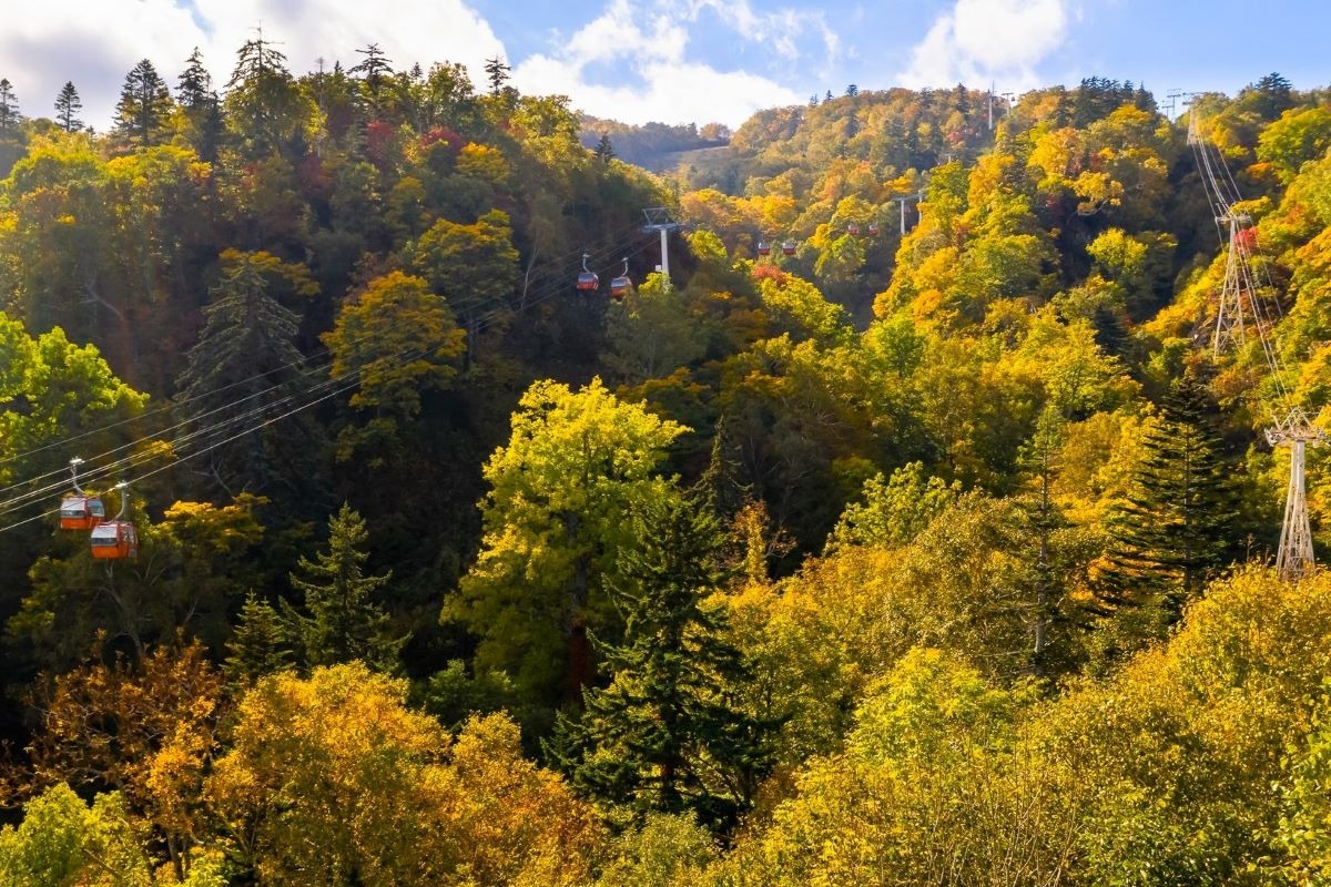 札幌国際スキー場で紅葉＆グルメを楽しむ「秋祭り」10月1日より開催