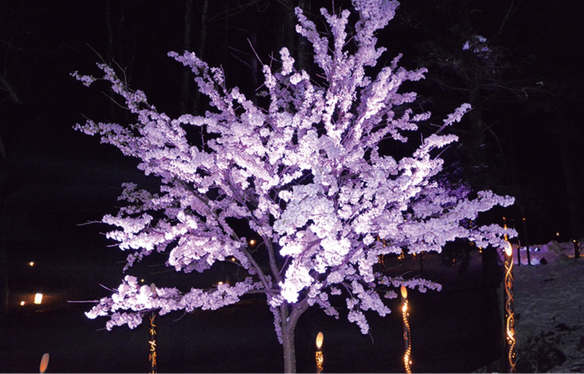 北海道、冬の遊び方。｜十勝川温泉エリア（音更町）