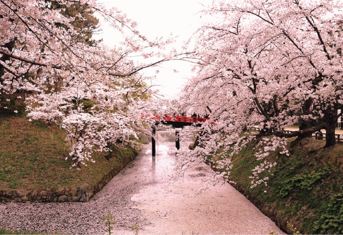 南北海道から北東北へ｜青森県　花と緑が目覚める、 春色の青森を旅する