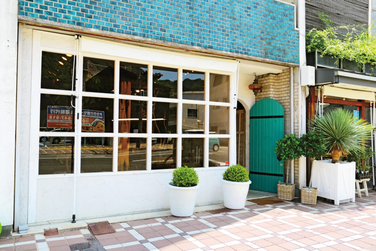 【6月OPEN】藤本生花店のインドアグリーン専門店（徳島市大道）お家にひとつ迎えたい、心を癒すインドアグリーン