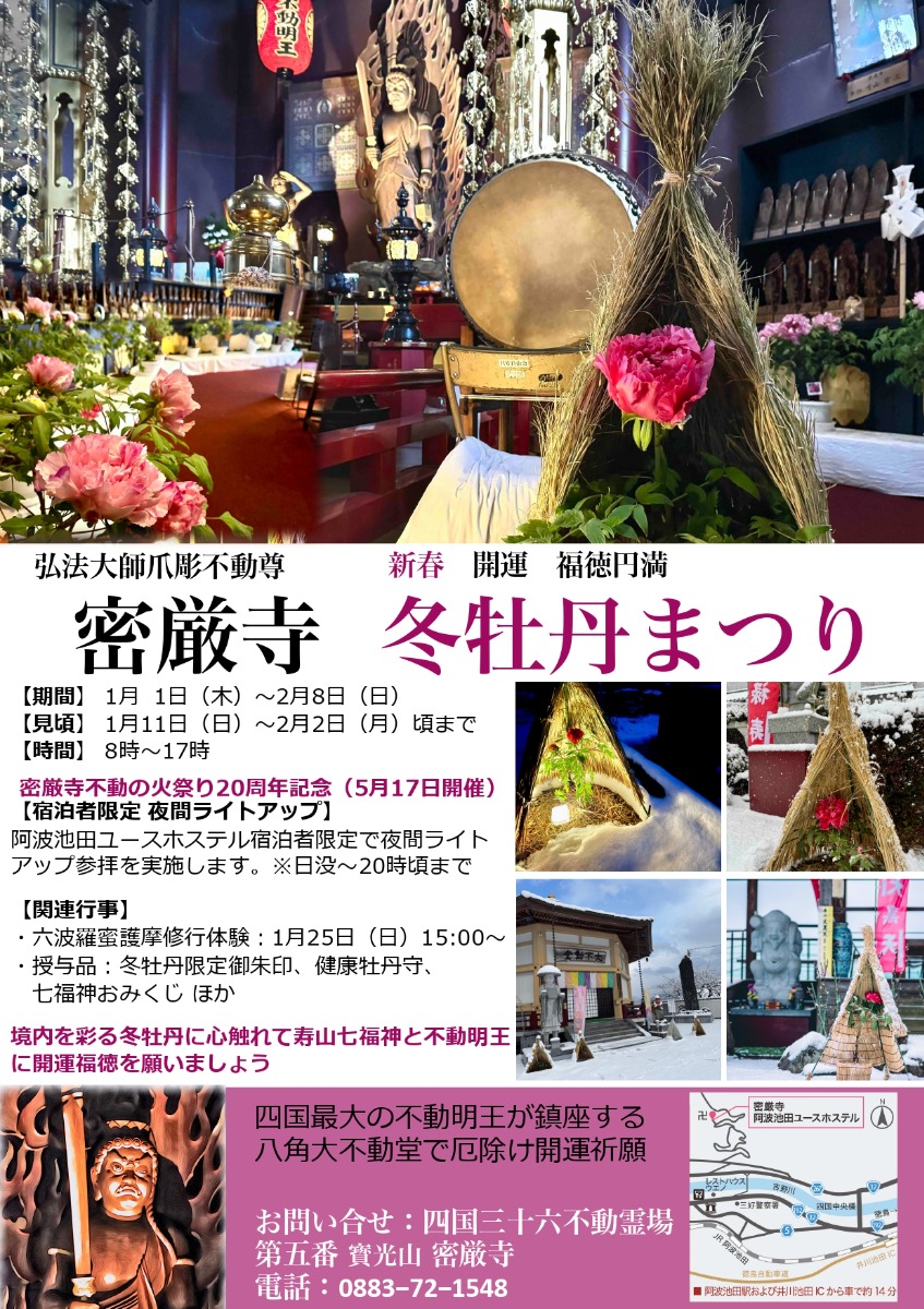 【徳島イベント情報2026】1/1～2/8｜密厳寺新春『冬牡丹祭り』