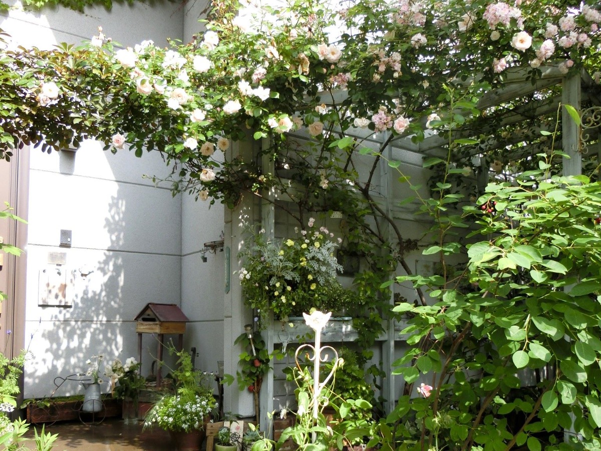 小樽・ 3軒のガーデナーの庭「オープンガーデン」6月23日開催！