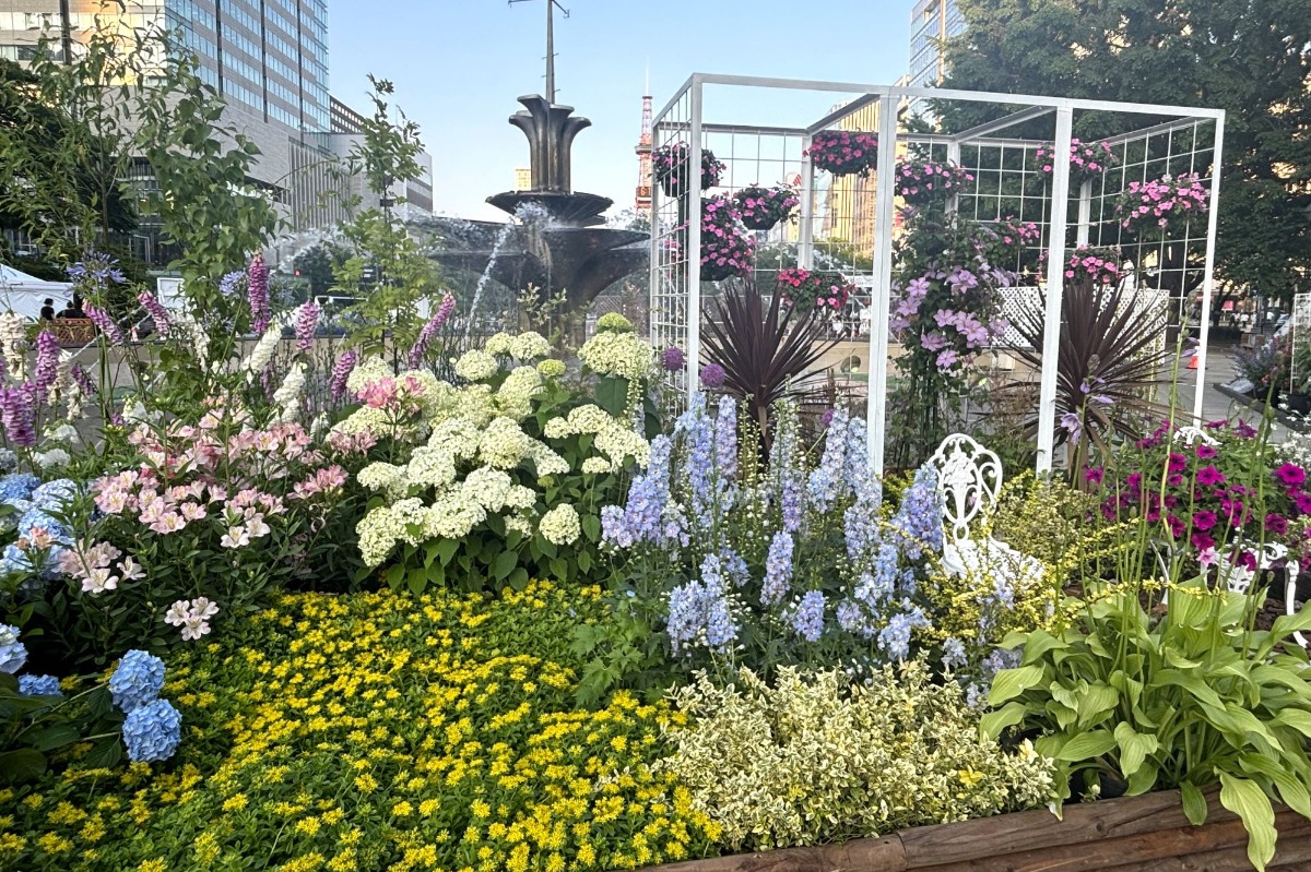 札幌・大通公園の「花フェスタ2025」へ。6月29日まで開催中!