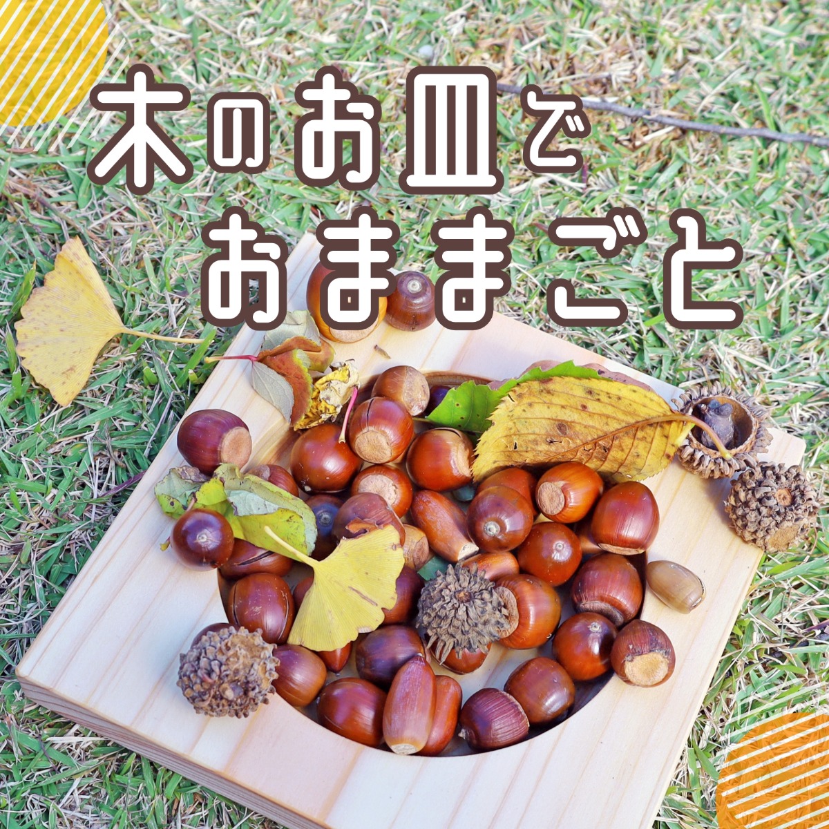 【徳島イベント情報】10/21｜木のお皿でおままごと