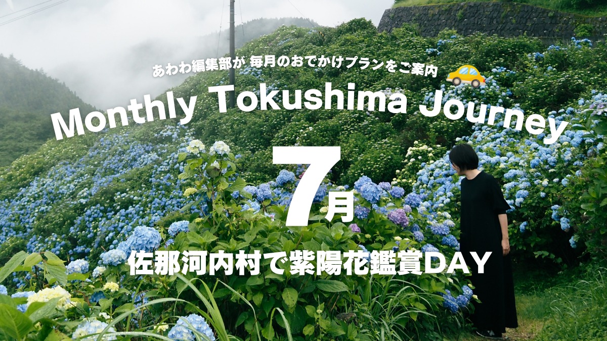 【あわわ編集部によるおでかけプラン】佐那河内村で紫陽花鑑賞DAY【7月】