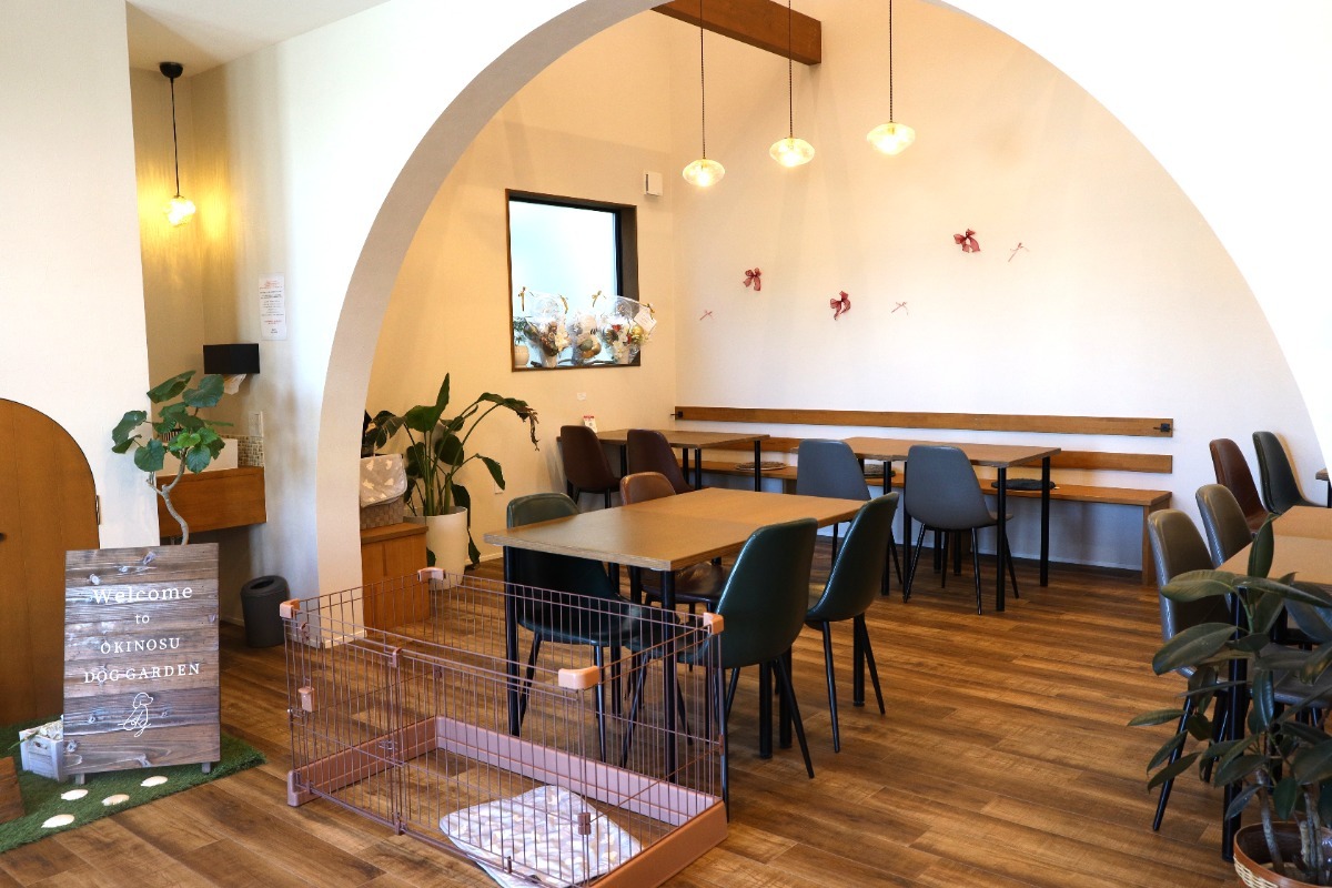 【徳島グルメ情報】わんことランチ（ドッグラン併設カフェのランチ）編5選！