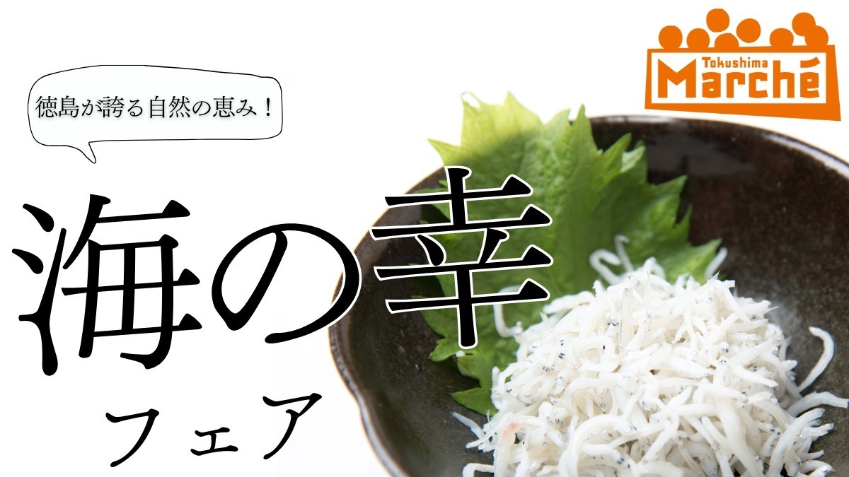 【徳島イベント情報2024】イベントピックアップ!! ～ 今週末のおでかけ情報をチェック!! ～【2024年11月23日～11月29日】