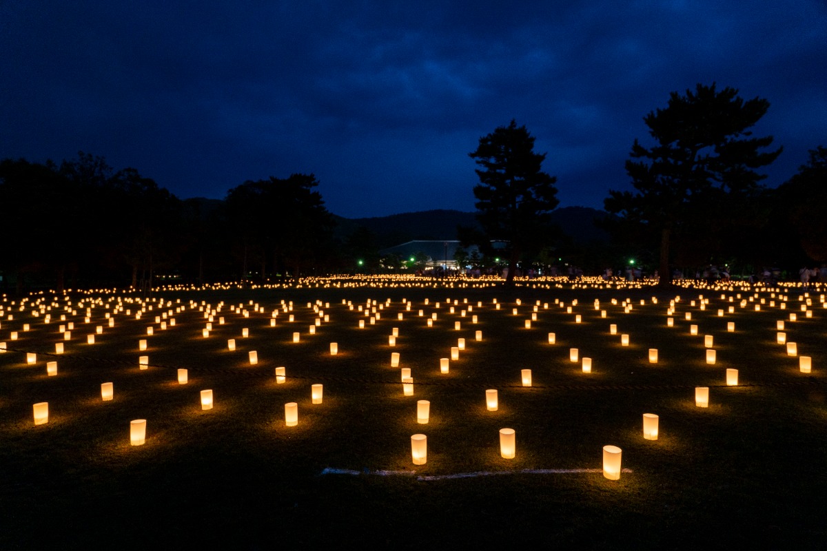 今年も幻想的な光が古都の夜を包み込む、奈良の夏の風物詩「なら燈花会」開催【奈良市】
