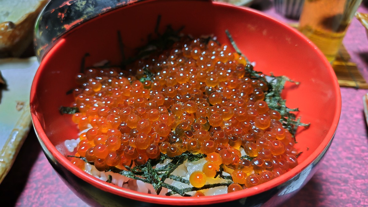 札幌→石狩地方へ行ってきました！（前編／１日目）