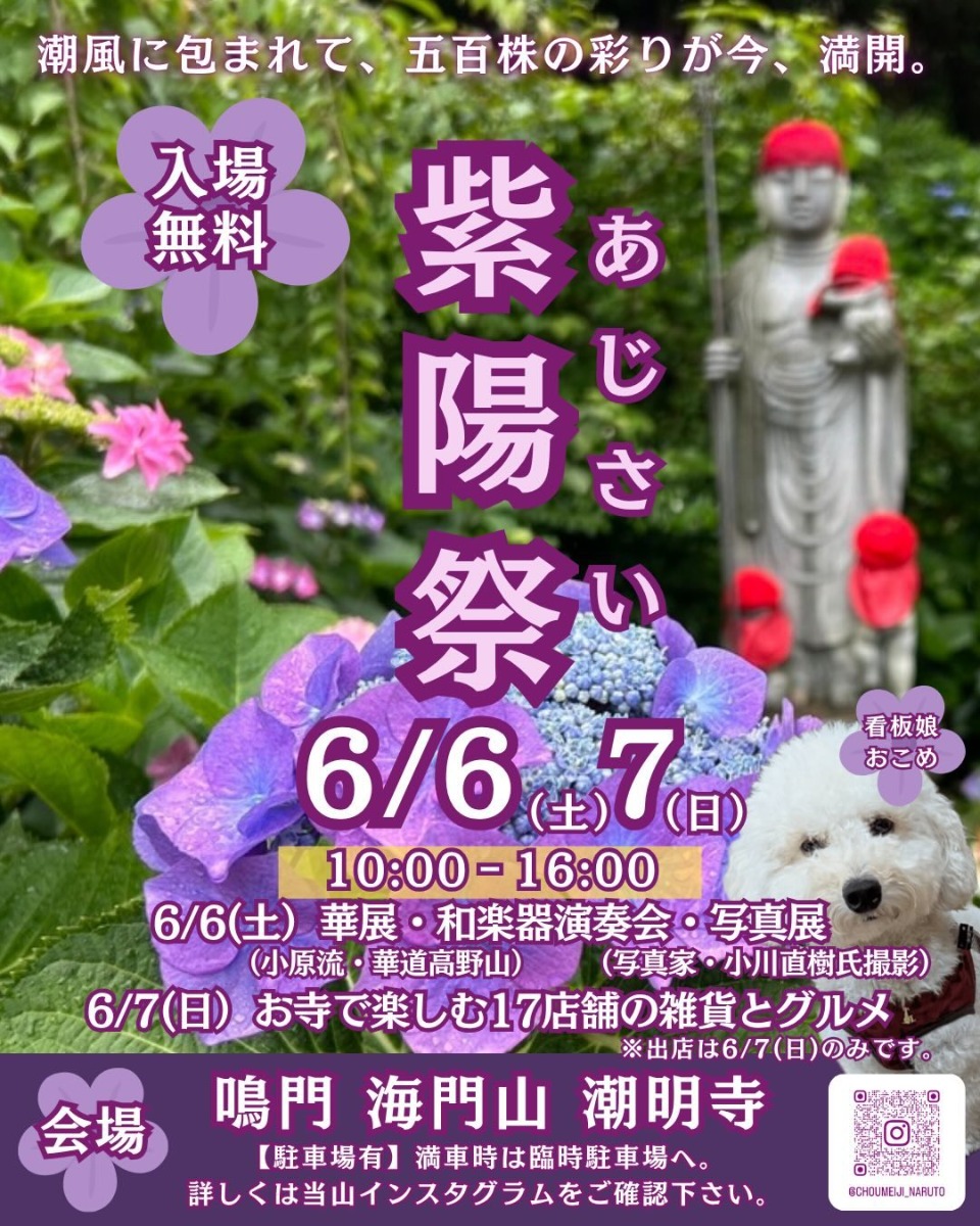 【徳島イベント情報2026】あじさいイベントまとめ2026 ～梅雨の時期でもお出かけを楽しもう！～