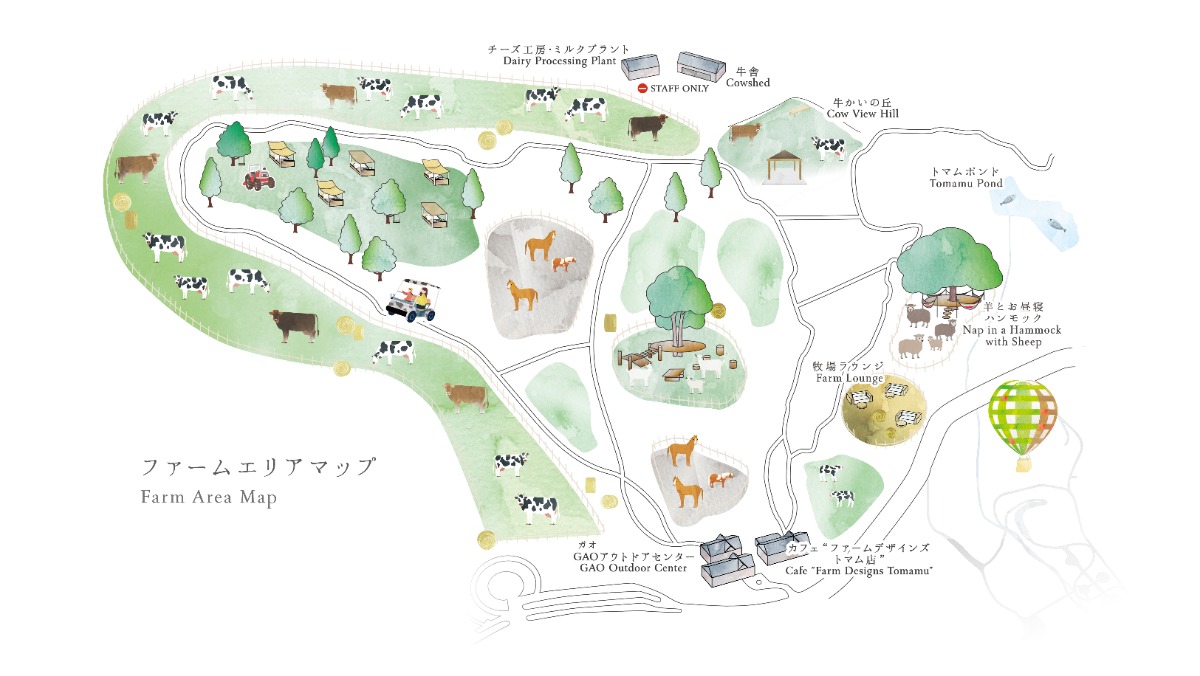 大地を駆ける牛と春のお祝い。トマムで放牧開始