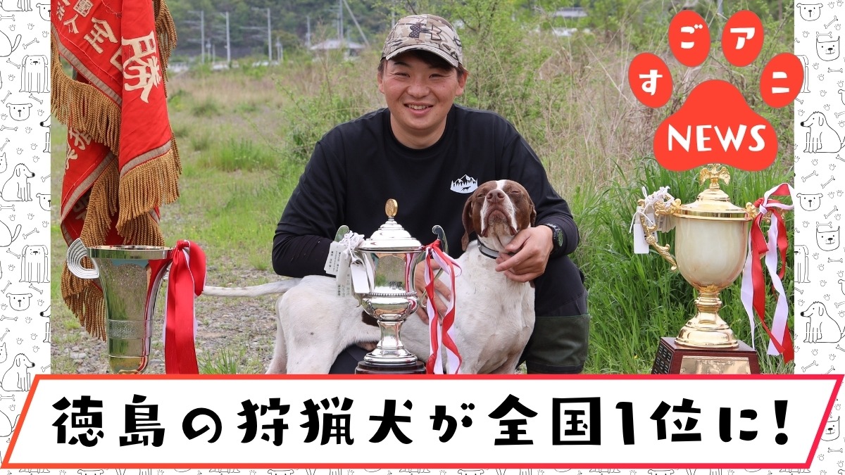 【徳島のすごアニマル】狩猟犬の競技大会で全国１位を獲得！／シーフィールド犬舎・住友佑輔さん