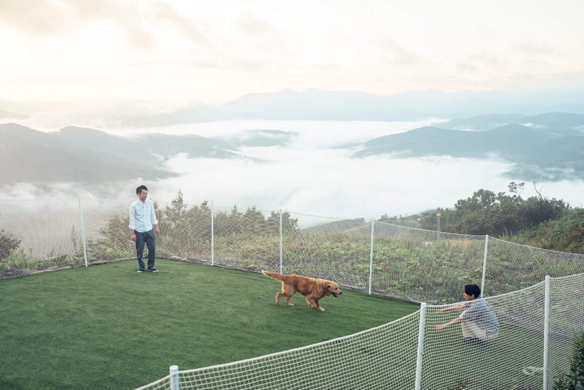 愛犬と楽しむ、星野リゾート北海道旅 vol.1