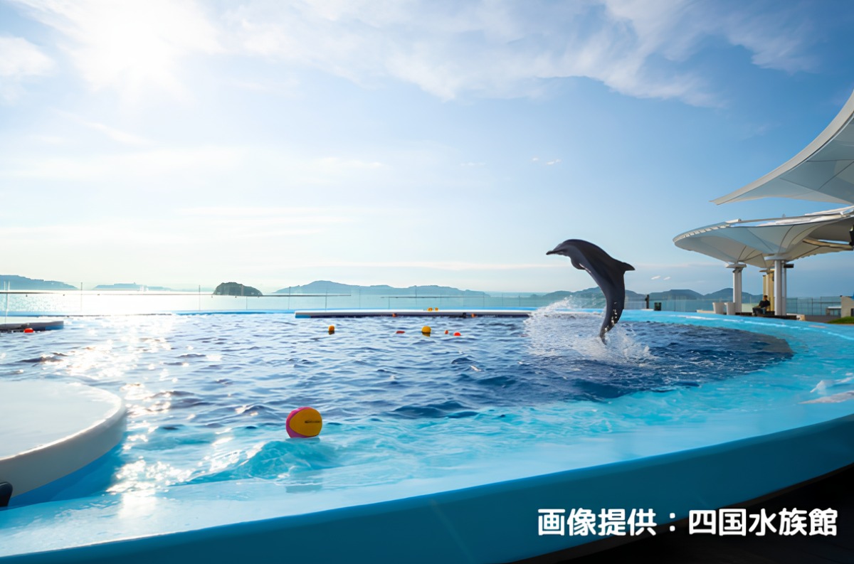『ワイヤーフェスタ 2025 夏』プレゼントご協賛SHOPガイド